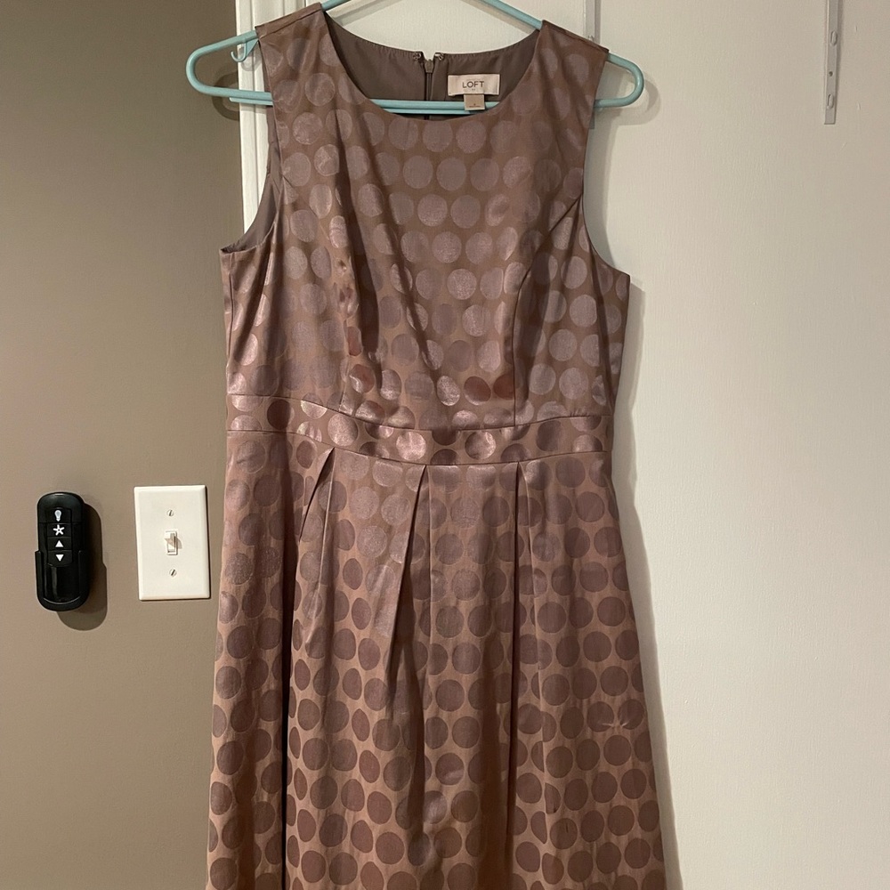 Ann Taylor loft outlet champagne polka dot dress 6